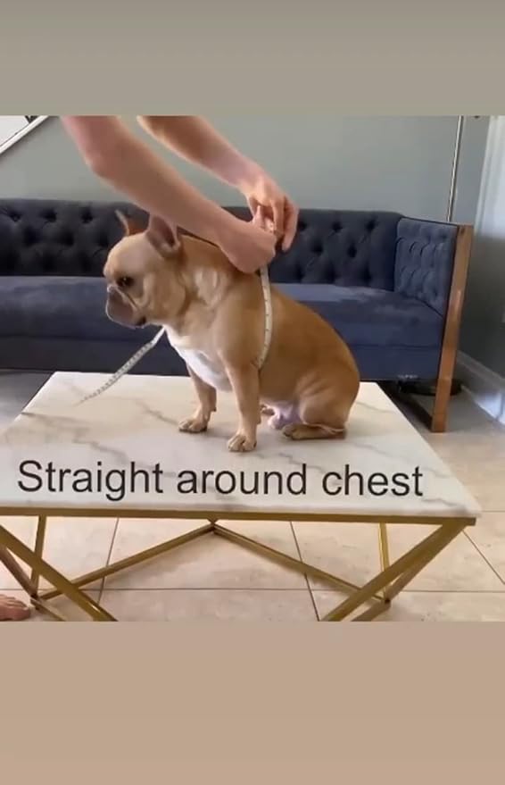 BULLHUG Harness – Made for Larger Chested Dogs Like English Bulldogs, French Bulldogs, Pugs & More. Stops Dogs from Pulling & Choking on Walks (NEON Pink, XL) BULLHUG