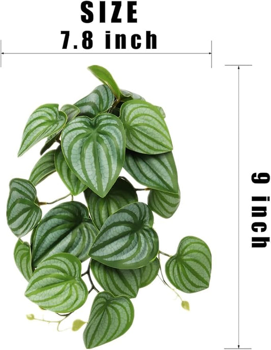 Reptile Plants for Terrarium, Amphibian Habitat Decor Artificial Hanging Plants with Suction Cup - Fake Calathea Orbifolia WOLEDOE