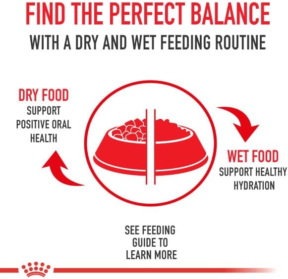 Royal Canin Canine Health Nutrition Adult In Gel Canned Dog Food, 13.5 oz can (6-pack) - PAWPICO