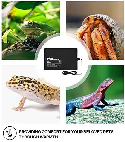 iPower 8 by 12-Inch Reptile Heat Mat Under Tank Heater Terrarium Heating Pad Ideal for Spider Snake Tarantula Hermit Crab Turtle, Black iPower