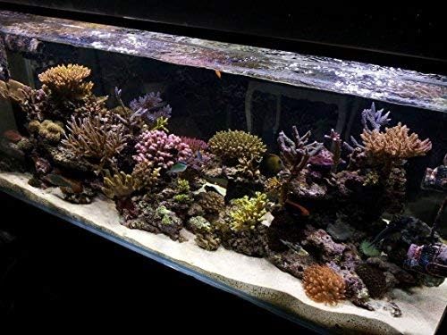 KZKR LED Aquarium Hood Lighting 72-78 inch Fish Tank Light Lamp for Freshwater Marine Saltwater Blue and White Decorations Light 6-7ft (34W) 180cm - 200cm KZKR