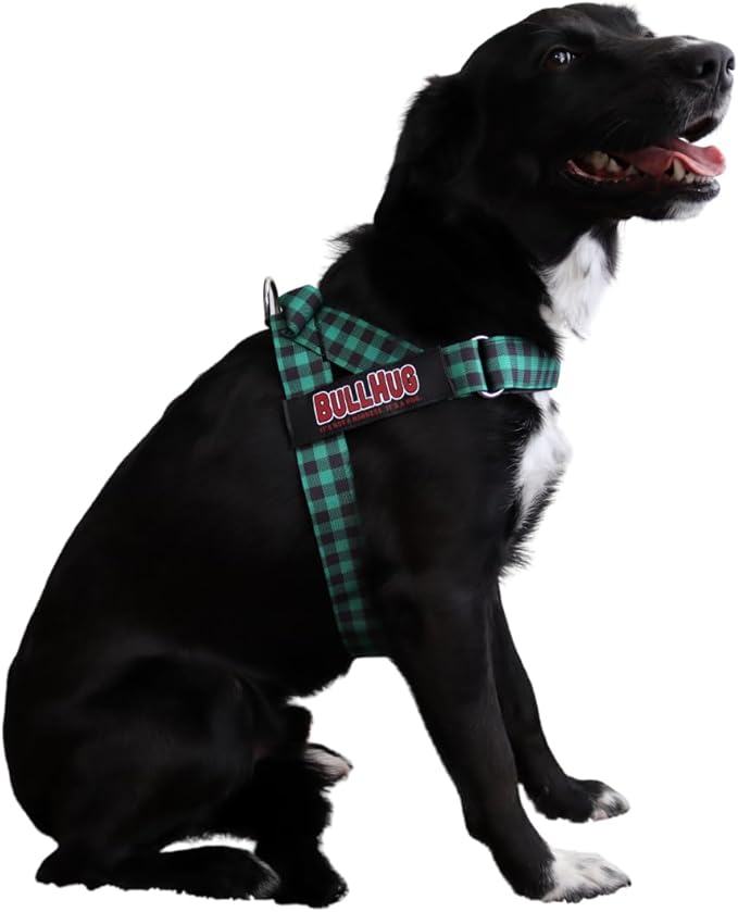 BULLHUG Harness – Made for Larger Chested Dogs Like English Bulldogs, French Bulldogs, Pugs & More. Stops Dogs from Pulling & Choking on Walks (Green Buffalo, Large) BULLHUG