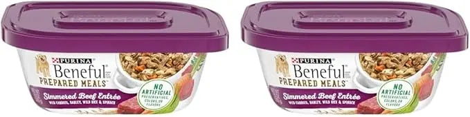 Beneful Purina Gravy Wet Dog Food, Prepared Meals Simmered Beef Entree - (8) 10 oz. Tubs (Pack of 2) - PAWPICO