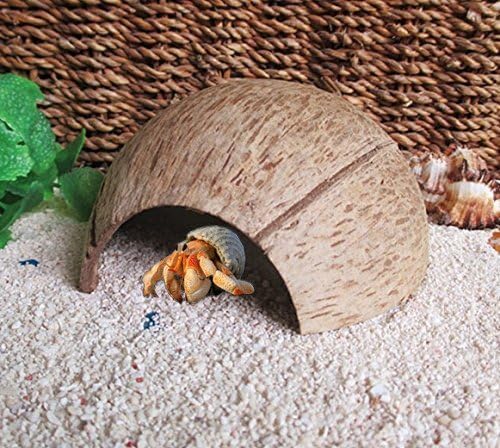 Hypeety Natural Coconut Reptile Habitat Hideout for Reptile, Lizard, Spider, Snake, Aquarium, Fish Hide Cave Hermit Crabs, Hamsters Natural Coco Hut Organic Non-Toxic Aquarium Decoration Hypeety