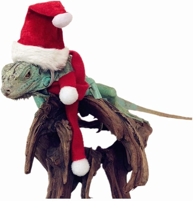 HAICHEN TEC Lizard Clothes for Bearded Dragons Christmas Hat Scarf Set Reptile Apparel Handmade Flannel Clothes HAICHENTEC