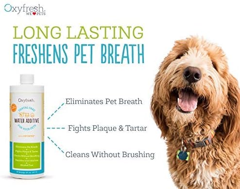 Oxyfresh Premium Pet Dental Care Solution Pet Water Additive: Best Way to Eliminate Bad Dog Breath and Cat Bad Breath - Fights Tartar & Plaque - So Easy, Just Add to Water! Vet Recommended 2 Pack Oxyfresh