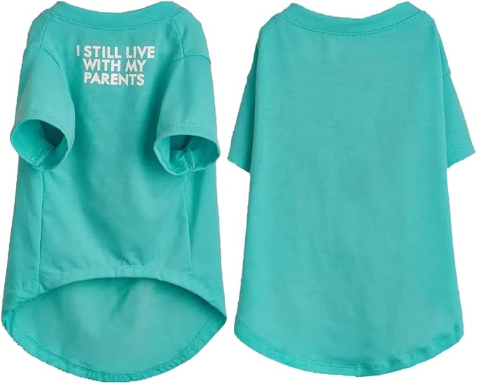 Cute Dog Clothes,Dog T Shirt for Medium Dogs.Dog Clothes for Small Dogs Girl Boy,Puppy.Breathable Soft Dog Costume Pet Dogs Cats,Pet Pullover Jumper,Cat Clothes (S-(4~8lb), Chest~14", Aqua) - PAWPICO