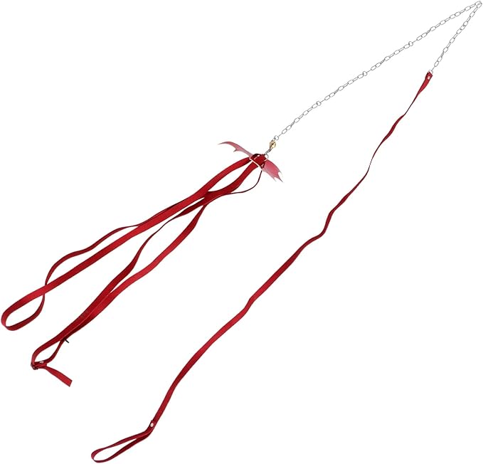 Turtle Wing Design Harness Strap Chest Collar Adjustable Rope Walking Control Rope Great for Turtle Reptile (Red L) POPETPOP