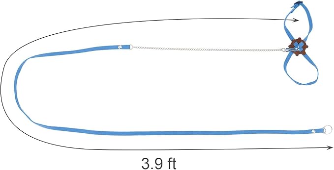 2 Pack Adjustable Reptile Harness and Leash for Lizard Gecko Bearded Dragon Outside Walk (Blue) Wontee