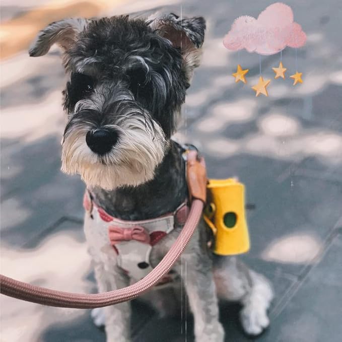 Puppytie No Pull Dog Harness with Multifunction Dog Leash,Soft Adjustable No Choke Escape Proof Pet Harness Vest for Medium Dogs,Polka dots Pink,M Puppytie