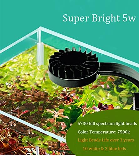 Full Spectrum Aquarium Light, Small Clip Light for Fish Tank with 2 Blue 10 White LED, 5W Brightness, for 3-5mm Thick (Black) BigTron
