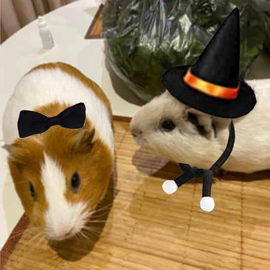 4 PCS Small Pet Halloween Costume Guinea Pig Wizard Hat with Scarf and Bow tie Sets Lizard Witch Head Accessories Hamster Cap for Hedgehog Chinchilla Ferret and Similar Breeds (Small) Anelekor