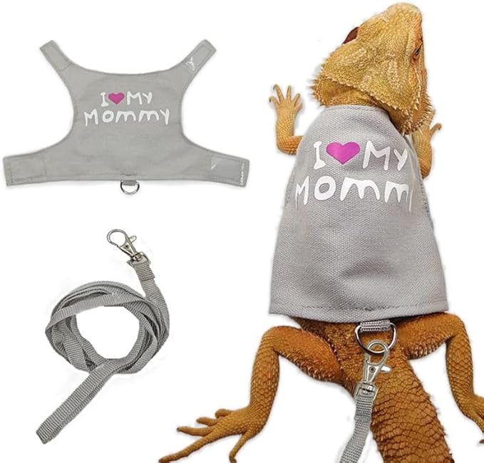 Bearded Dragon Leash and Harness Adjustable - Bearded Dragon Leash and Harness Set with Lizard Luminous Leash for Amphibians Chameleons Small Pet Animals Outdoor Safety Walking(Grey) HOKABLE