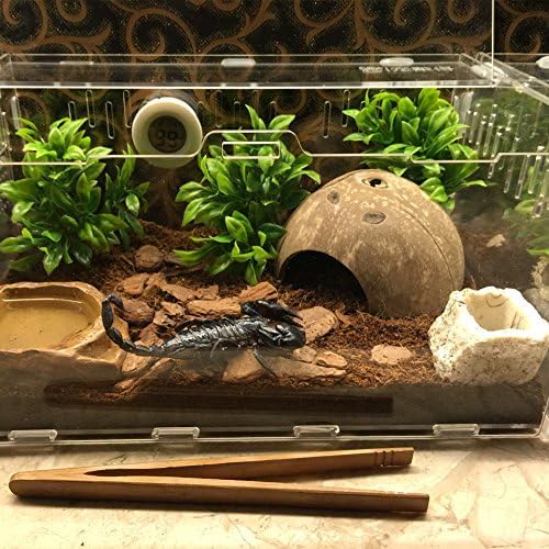 Hypeety Natural Coconut Reptile Habitat Hideout for Reptile, Lizard, Spider, Snake, Aquarium, Fish Hide Cave Hermit Crabs, Hamsters Natural Coco Hut Organic Non-Toxic Aquarium Decoration Hypeety