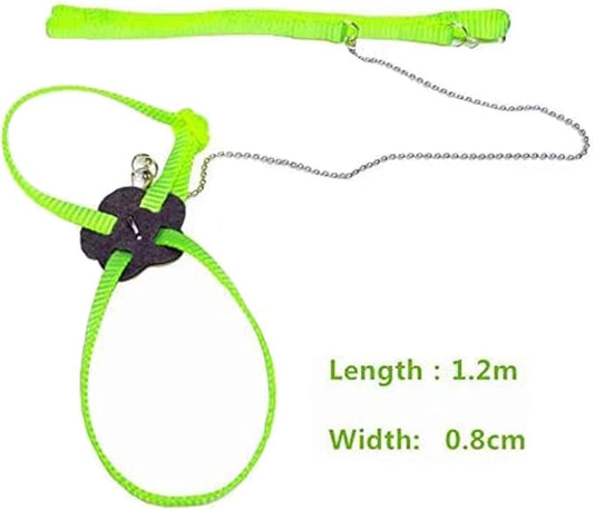 Lizard Leash Bearded Dragon Harness Adjustable Reptile Lizard Harness Leash Parrot Harness Turtle Lizard, Suitable for Gecko Hamster Kitten Small Animal Outdoor Walking,Green Sawyd