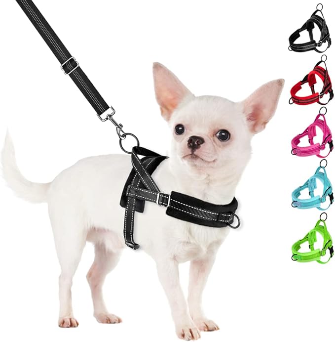 SlowTon No Pull Small Dog Harness and Leash Set, Puppy Soft Vest Harness Neck & Chest Adjustable, Reflective Lightweight Harness & Anti-Twist Pet Lead Combo for Small Medium Dogs (B-Front Clip,XXS) SlowTon