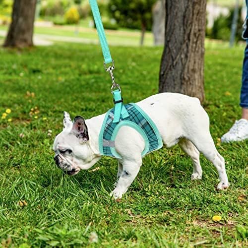 PUPTECK Adjustable Dog Harness Collar and Leash Set Step in No Pull Pet Harness for Small Medium Dogs Puppy and Cats Outdoor Walking Running, Soft Mesh Padded Reflective Vest Harnesses, Lake Green M PUPTECK