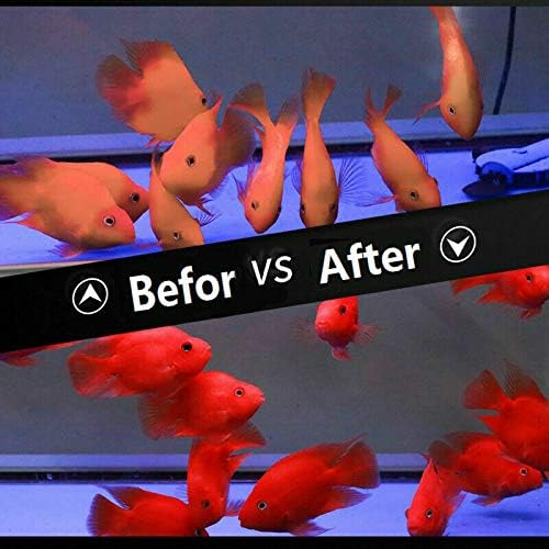 1kg Parrot Fish Pellets Food Color-Enhancing Red Parrot Cichlid Fish Feed Food toyuto