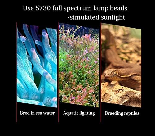 Full Spectrum Aquarium Light, Small Clip Light for Fish Tank with 2 Blue 10 White LED, 5W Brightness, for 3-5mm Thick (Black) BigTron