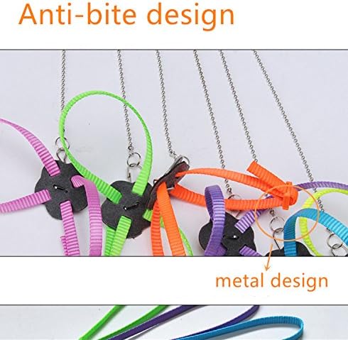 Hypeety Reptile Lizard Outdoor Walk Adjustable Harness Leash Anti-bite Light Soft Bearded Dragon Accessories Parrot African Grey Cockatoo Macaw Ringneck Outside Free Lovebird Supplies (Random Color) Hypeety