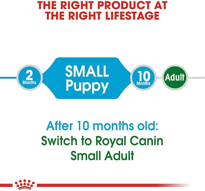Royal Canin Small Puppy Dry Dog Food, 13 lb bag - PAWPICO
