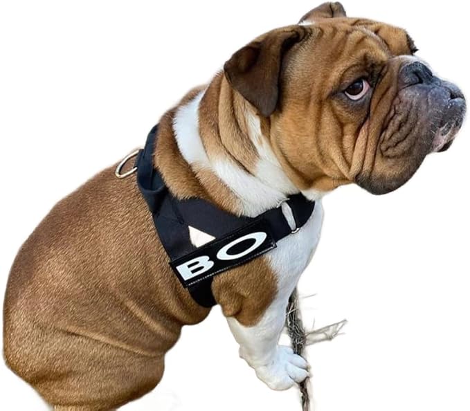 BULLHUG Harness – Made for Larger Chested Dogs Like English Bulldogs, French Bulldogs, Pugs & More. Stops Dogs from Pulling & Choking on Walks (Black, Small) BULLHUG