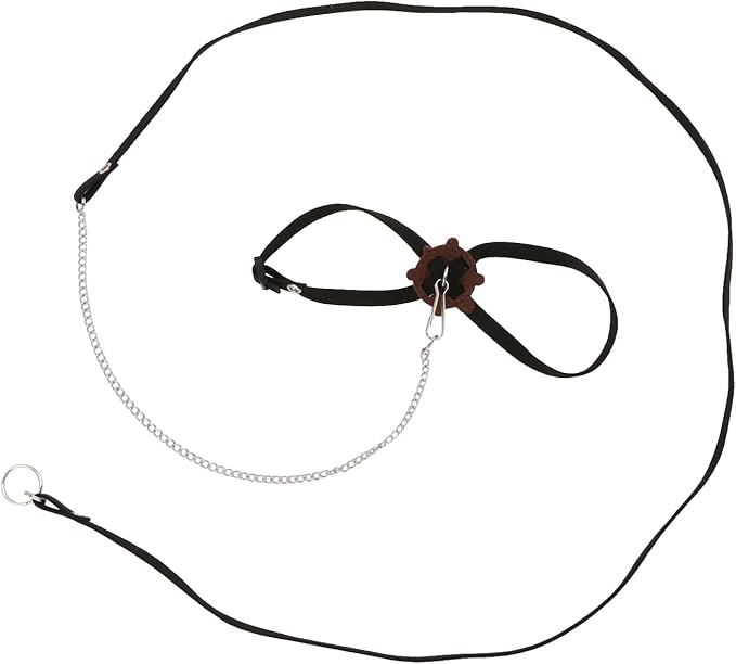 2 Pack Adjustable Reptile Harness and Leash for Lizard Gecko Bearded Dragon Outside Walk (Black) Wontee