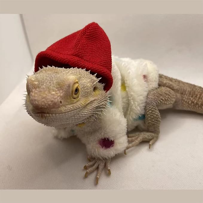 Lizard Clothes for Bearded Dragons Handmade Cloth Material Hoodies Sweater Coat Reptile Apparel Costume Skin Protection Photo Party for Lizard Bearded Dragon Crested Gecko Chameleon (White) KUNBIUH