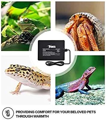 iPower Reptile Heat Pad 8W Under Tank Terrarium Warmer Heating Mat for Turtles Lizards Frogs and Other Small Animals, 6"x8" Inch iPower