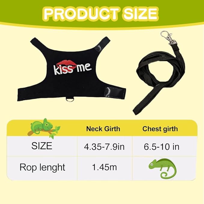 Bearded Dragon Leash and Harness Adjustable - Bearded Dragon Leash and Harness Set with Lizard Luminous Leash for Amphibians Chameleons Small Pet Animals Outdoor Safety Walking(Black) HOKABLE