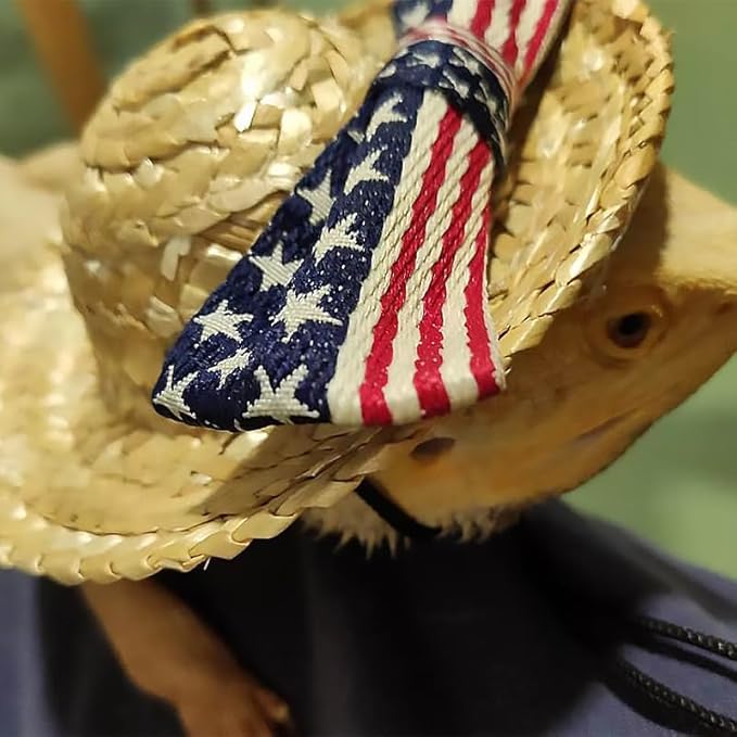 Bearded Dragon Pet Caps Tiny Pet Costume Supplies Party Daily Decor Small pet Adjustable for Bearded Dragon Lizard Reptiles HOKABLE