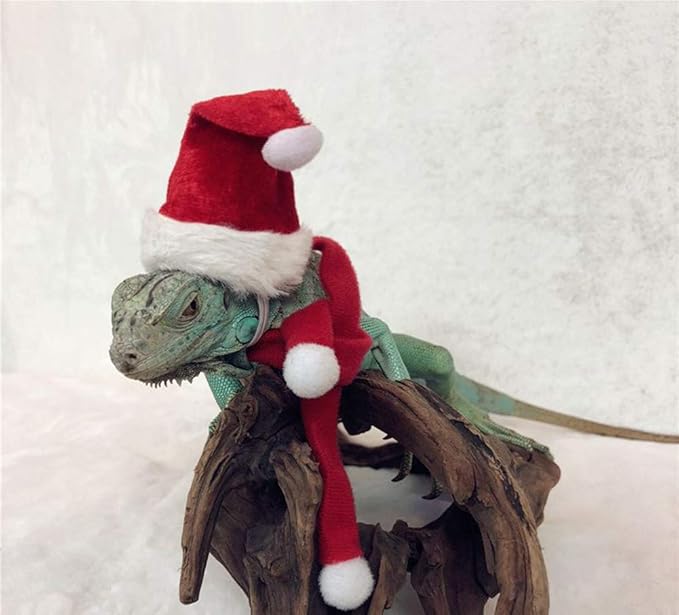 HAICHEN TEC Lizard Clothes for Bearded Dragons Christmas Hat Scarf Set Reptile Apparel Handmade Flannel Clothes HAICHENTEC