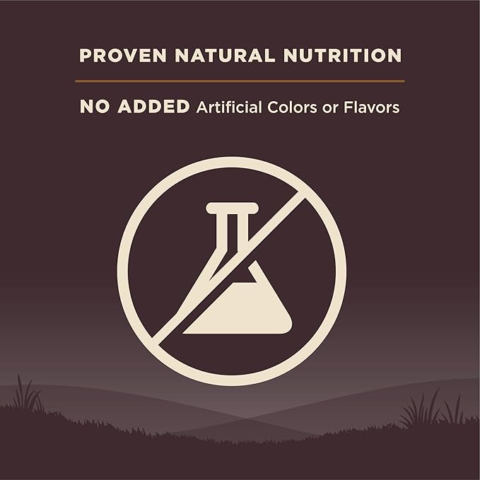 Wellness CORE Grain-Free High-Protein Dry Dog Food, Natural Ingredients, Made in USA with Real Meat, All Breeds, For Adult Dogs (Wild Game Duck, Lamb Meal, Boar & Rabbit, 26-Pound Bag) - PAWPICO