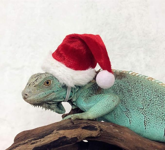 HAICHEN TEC Lizard Clothes for Bearded Dragons Christmas Hat Scarf Set Reptile Apparel Handmade Flannel Clothes HAICHENTEC