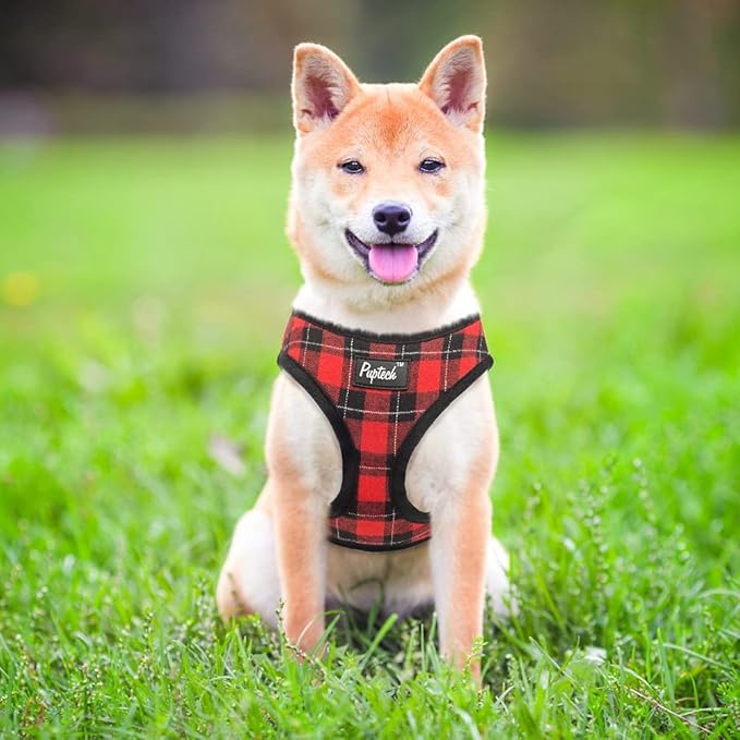 PUPTECK Soft Mesh Dog Harness and Leash Set Pet Puppy Cat Comfort Padded Vest No Pull Harnesses, Red&Black, L PUPTECK
