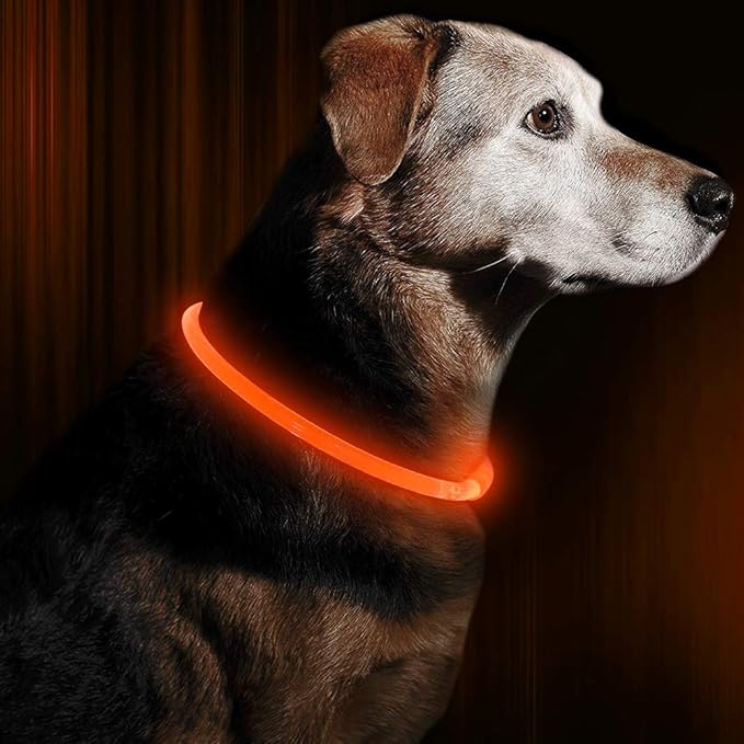 BSEEN LED Dog Collar, USB Rechargeable, Glowing pet Dog Collar for Night Safety, Fashion Light up Collar for Small Medium Large Dogs(Orange) BSEEN