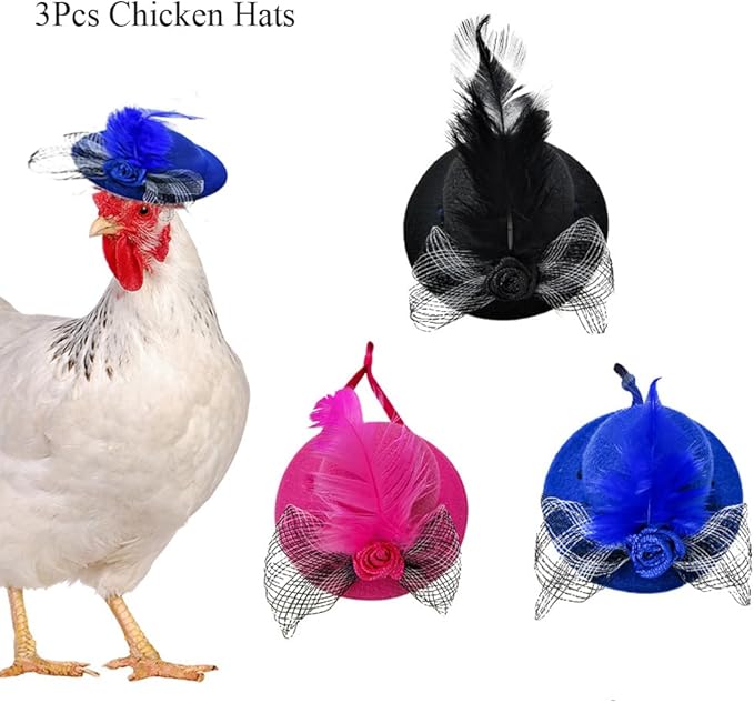 3Pcs Chicken Hats for Hen Small Helmets for Real Chicken Pet Chicken Top Hat with Adjustable Elastic Chin Strap Chicken Accessories Halloween Animal Costumes Hat for Bird, Black Rose Blue, LXLVOUEG LXLVOUEG