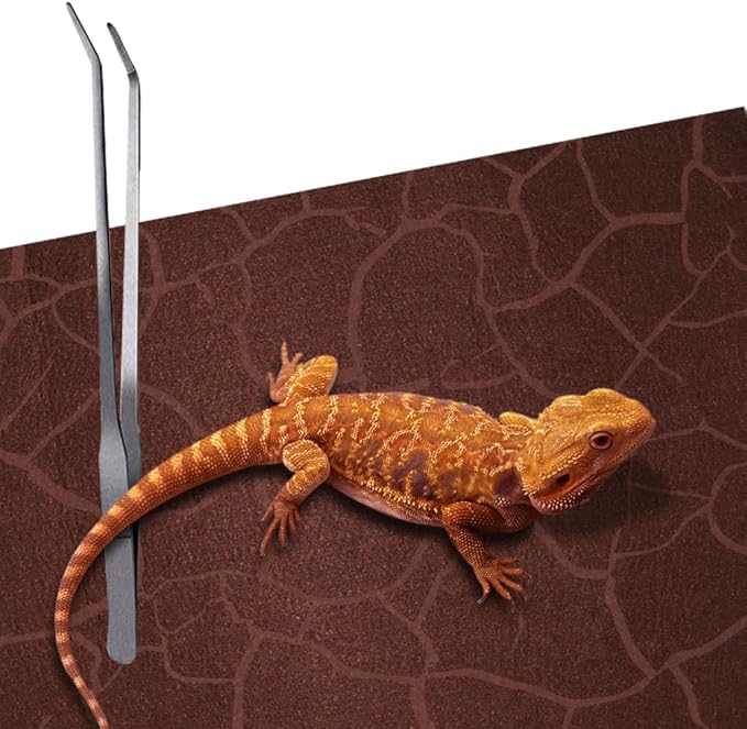 2 Pack Reptile Carpet Desert Reptile Mat & Reversible Substrate, Terrarium Liner Bedding, for Lizard,Chameleon,Gecko,Snake,Ceratophrys with Tweezers Feeding Tong (20 Gallon(30x12in)) REP+BUDDY