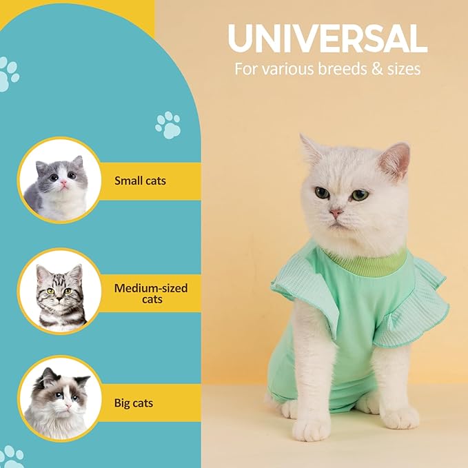 Avont Cat Recovery Suit - Post-Surgery Onesie for Cats, Alternative to Cone of Shame, Protective Spay Suit for Female Kitten, Ideal for Healing and Skin Conditions -Mintgreen(M+) Avont