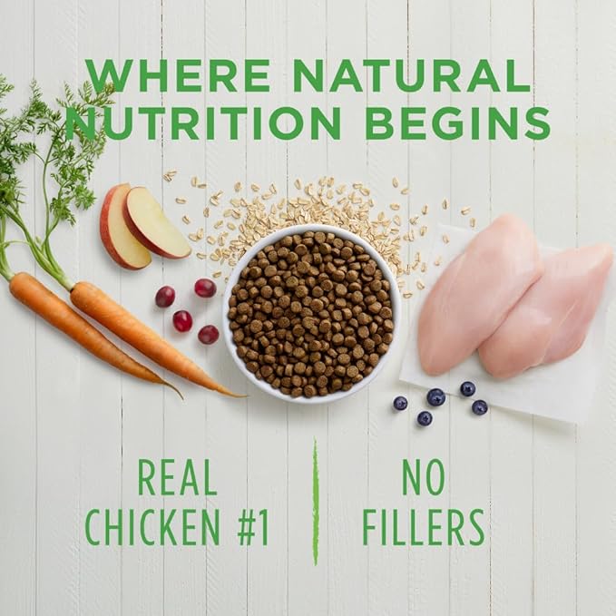 Instinct Be Natural Real Chicken & Brown Rice Recipe Natural Dry Dog Food, 25 lb. Bag - PAWPICO