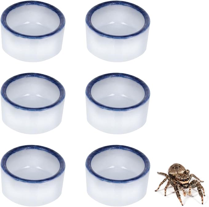 6 Pcs Spider Mini Water Bowl Tarantula Micro Ceramic Water Dish for Spider Tarantula Millipede Tiny Reptile Scorpion Cricket Snail Manti Bugs PAWPICO