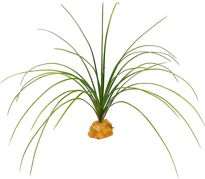 Woyrise Reptile Plants for Terrarium Decor, Amphibian Habitat Artificial Plants Bearded Dragon Tank Accessories fit Crested Gecko Leopard Lizard Chameleon Ball Python Snake Frog - Calamus Woyrise