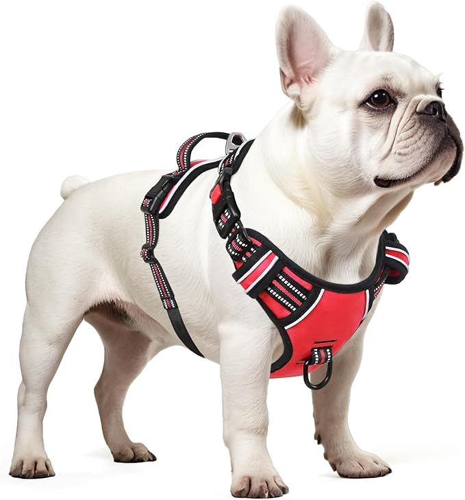 Timos Dog Harness Small Sized, No Pull Dog Harness with Neck Lockable Snap,No Choke Front Clip Dog Reflective Harness,Adjustable Metal Rings 3 Buckles,Easy Control Handle for Small Dogs Red S Timos