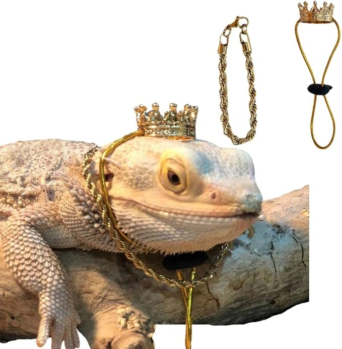 2Pcs Lizard Crown Necklace Set Metal Lizard Outfit Reptile Clothes Accessories Lizard Photo Props for Bearded Dragons Iguana Amphibians and Other Small Animals (Gold) KUNBIUH