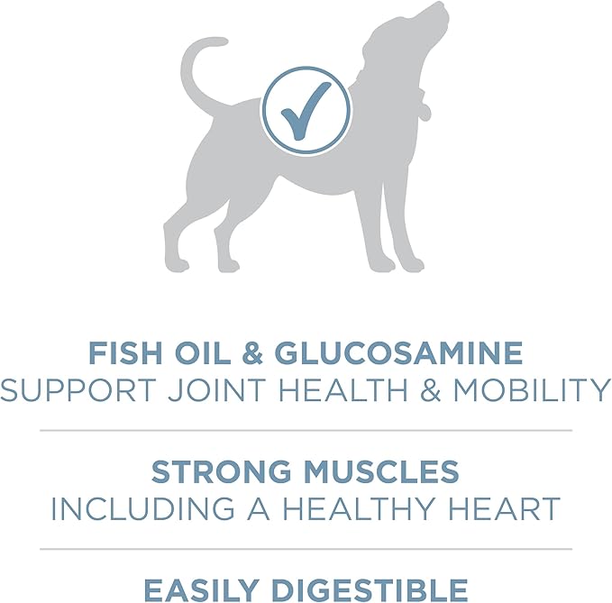 Purina ONE Plus Joint Health Formula Natural With Added Vitamins, Minerals and Nutrients Dry Dog Food - 31.1 lb. Bag - PAWPICO
