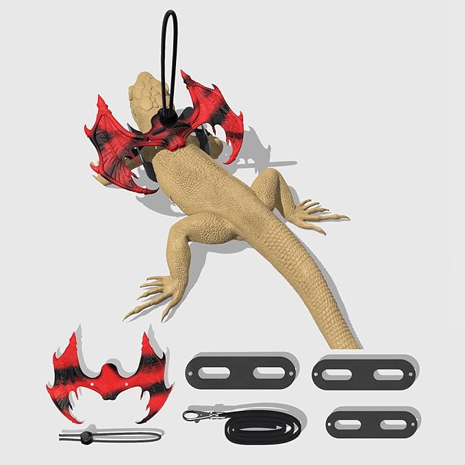 Bearded Dragon Leash and Harness Set, Bearded Dragon Leash with Wings Silicone,Stylish and Colorful Design,Deal for Amphibians and Other Small Pet Animals (Black-red Gradient) Enrichoice