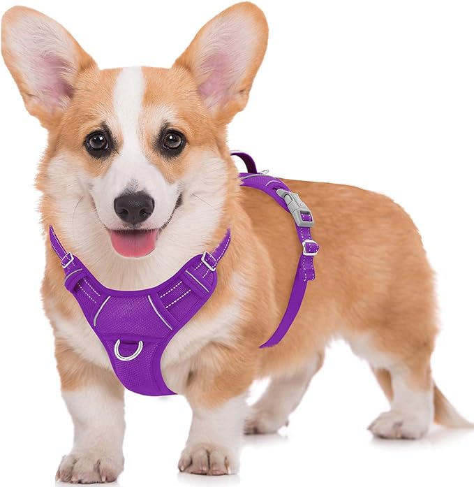 BARKBAY No Pull Dog Harness Large Reflective Dog Harness with Front Clip and Easy Control Handle for Walking Training Running with ID tag Pocket(Purple,M) BARKBAY