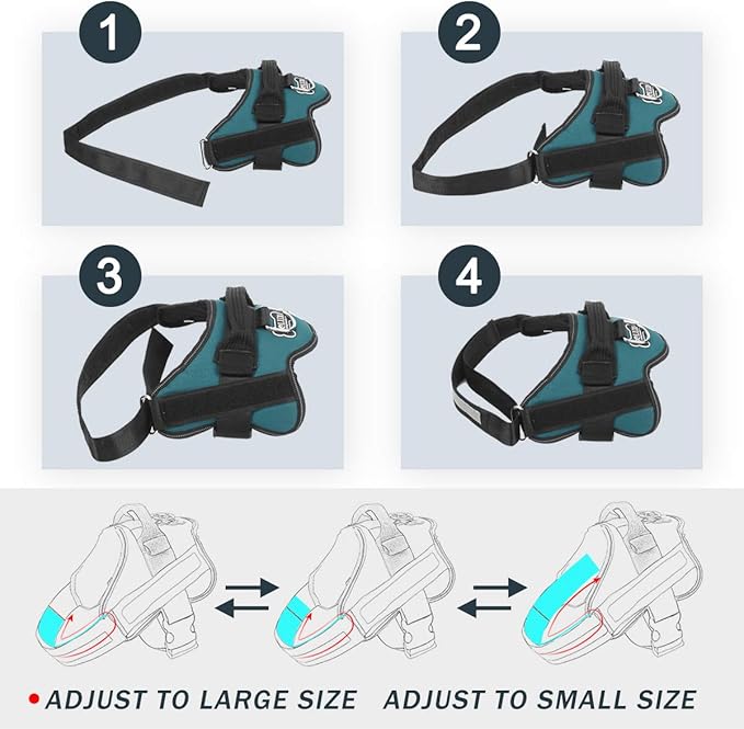 Bolux Dog Harness, No-Pull Reflective Dog Vest, Breathable Adjustable Pet Harness with Handle for Outdoor Walking - No More Pulling, Tugging or Choking (Turquoise, S) Bolux