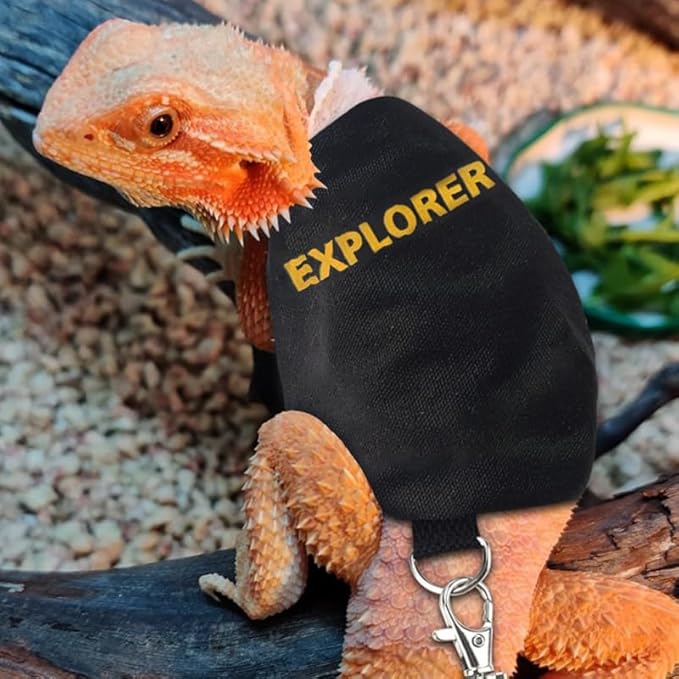 Bearded Dragon Leash and Harness Set, Adjustable Lizard Reptile Leashes Bearded Dragon Rope Accessories for Bearded Dragon Lizard Small Pets Outdoor Safety Walking(Explorer Character) HOKABLE