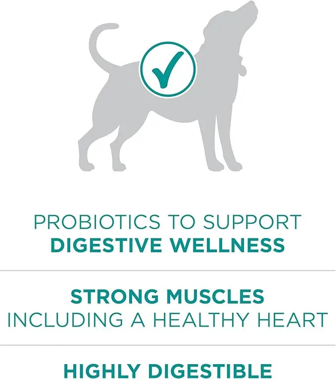Purina One Plus Digestive Health Formula Dry Dog Food Natural with Added Vitamins, Minerals and Nutrients - 31.1 Lb. Bag - PAWPICO